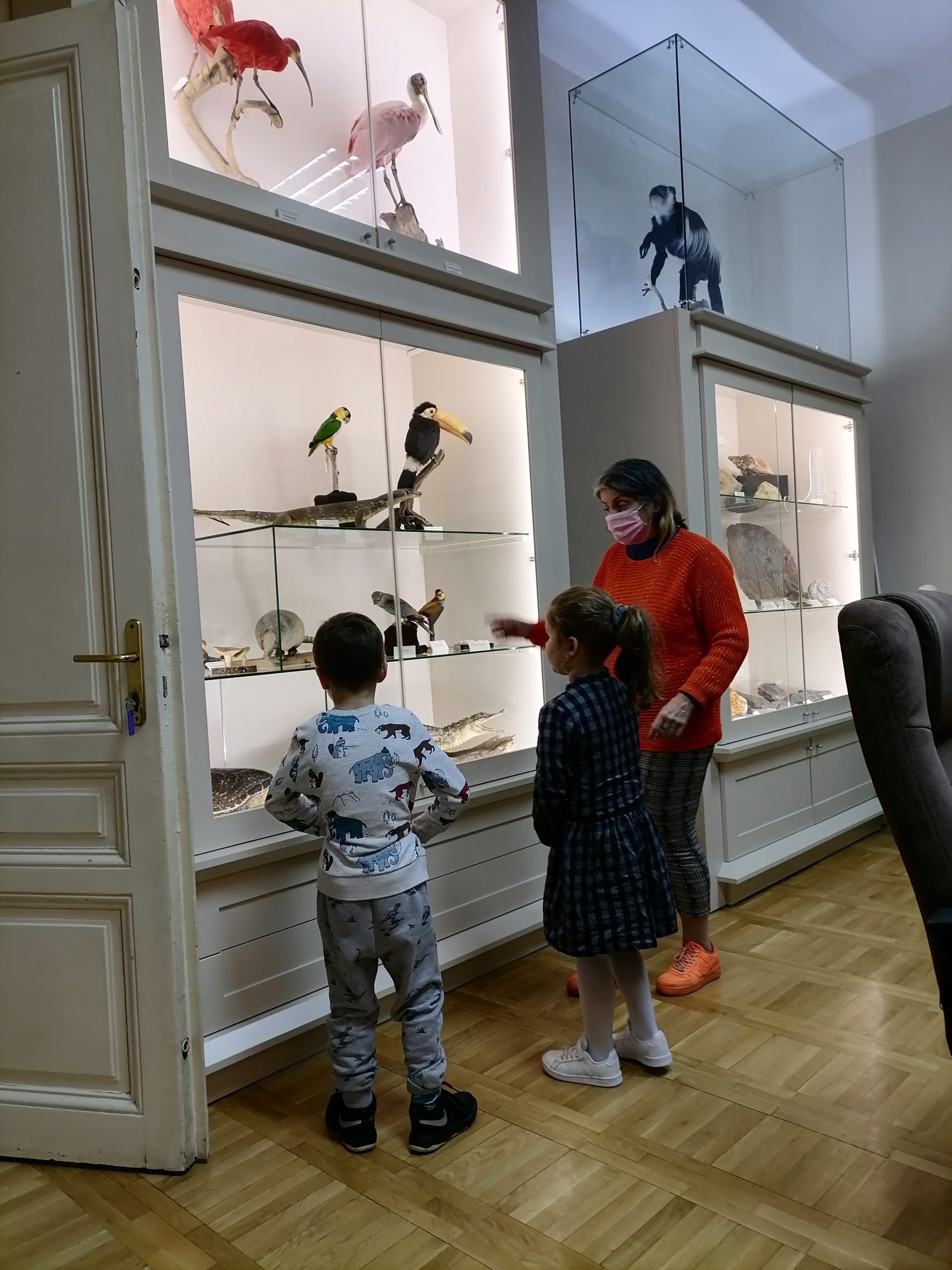 ПРИРОДА КАО НАЈЛЕПШИ ЕКСПОНАТ: два српска природњачка музеја